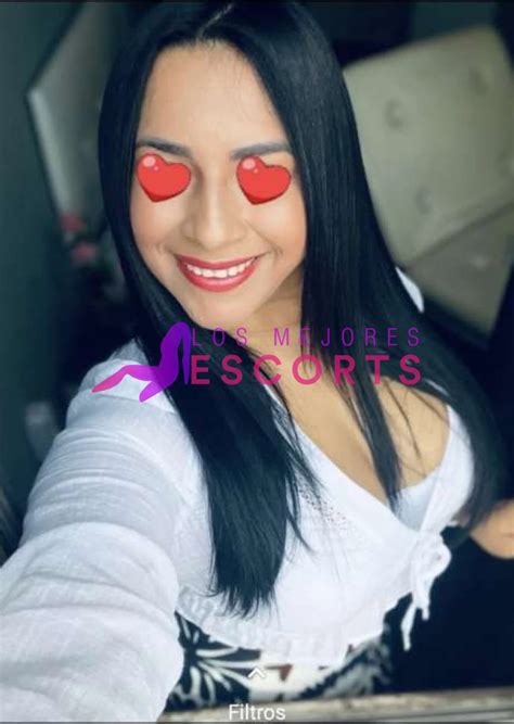 putas navara|PUTAS EN NAVARRA. ANUNCIOS DE ESCORTS EN。